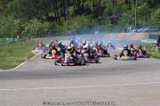 20110501_ales_agnus (2088)
